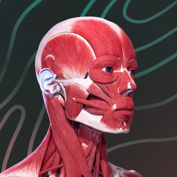 Easy Anatomy 3D 아이콘